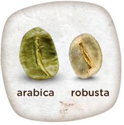 Arabika Robusta